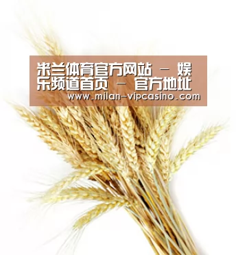 米兰体育官方网站 - 娱乐频道首页 - 官方地址入口